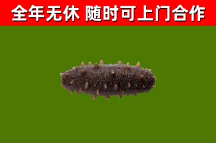 重庆烟酒回收干海参.jpg